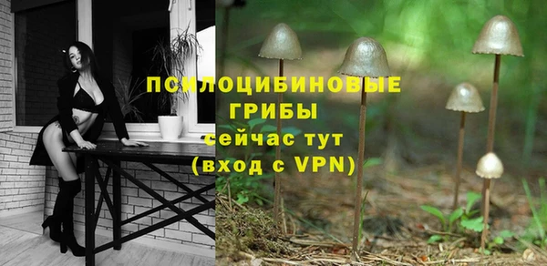 mdpv Верея