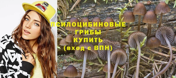 не бодяженный Верхний Тагил