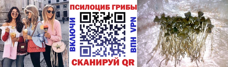 Псилоцибиновые грибы ЛСД  Купить закладки  Новая Ляля 